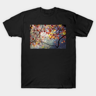 Autumn dreams T-Shirt